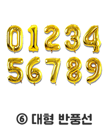 (6)대형 반풍선
